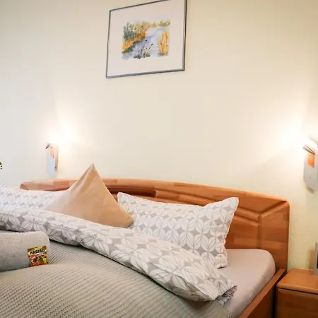 Morgensonne Schluchsee