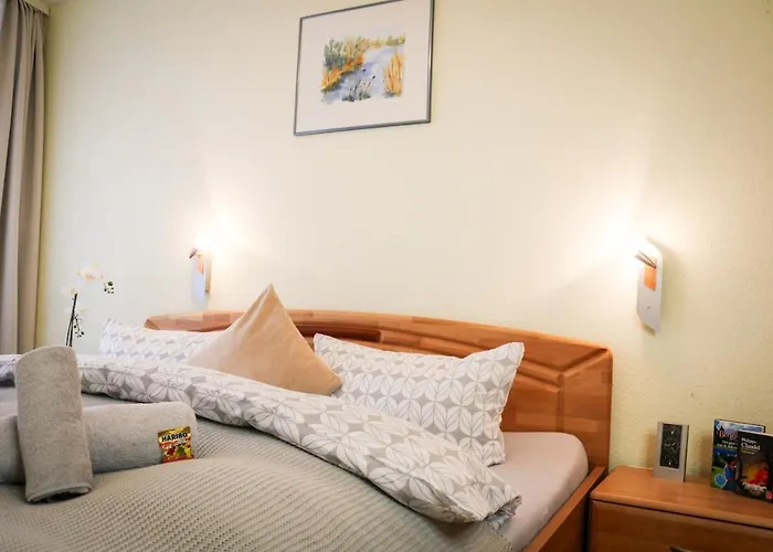 Morgensonne Schluchsee